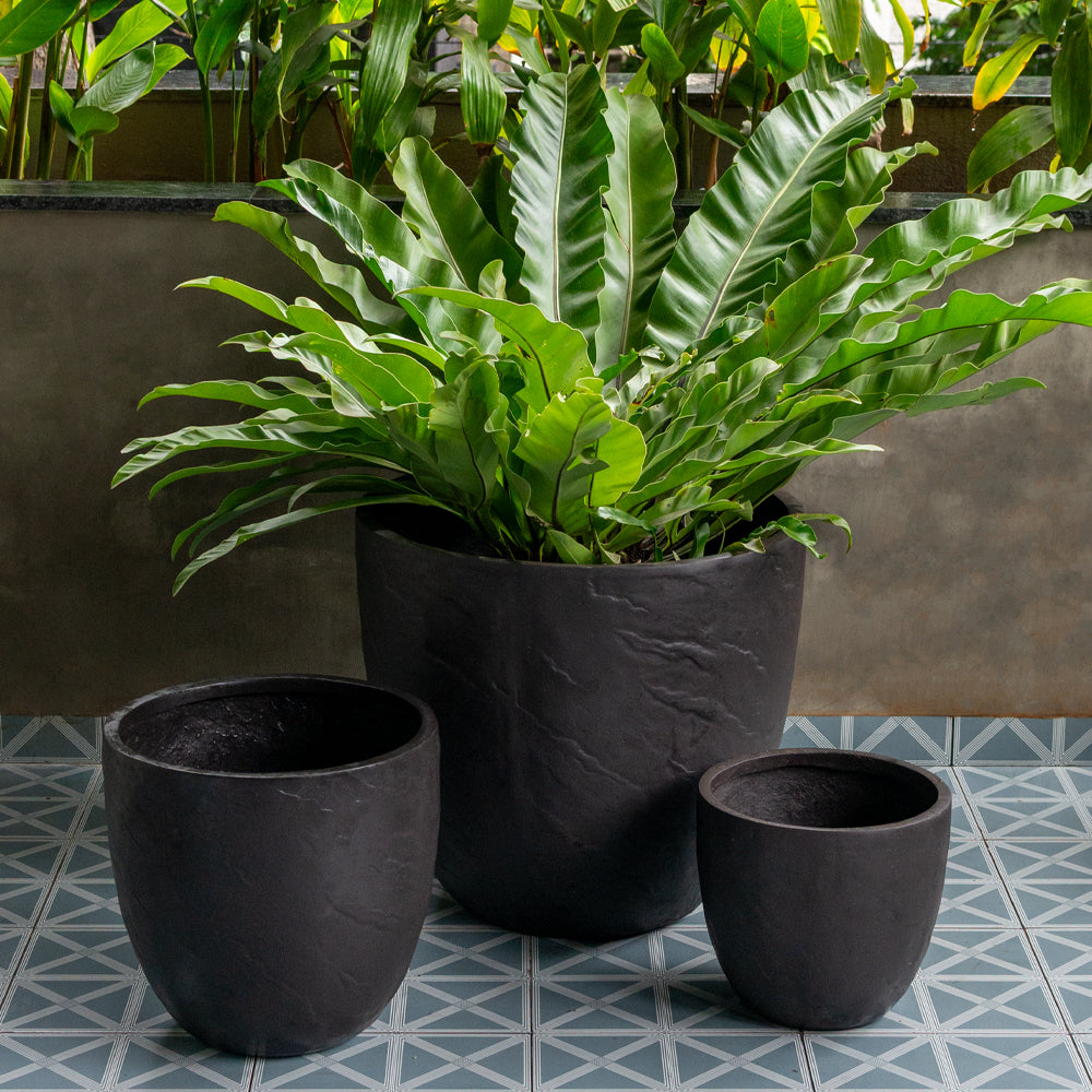 Dark Brown Textured Planter