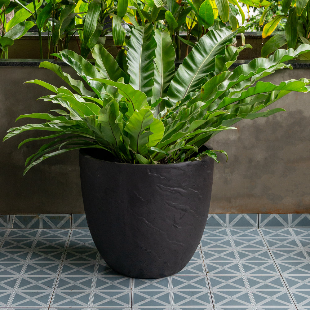 Dark Brown Textured Planter