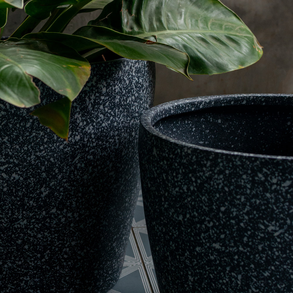 Polka Planter