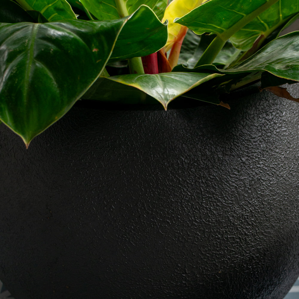 Sphere Planter