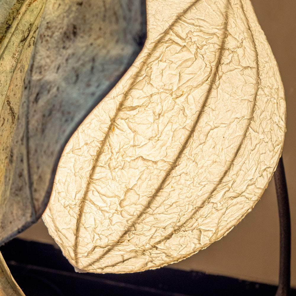 Midori Floor Lamp