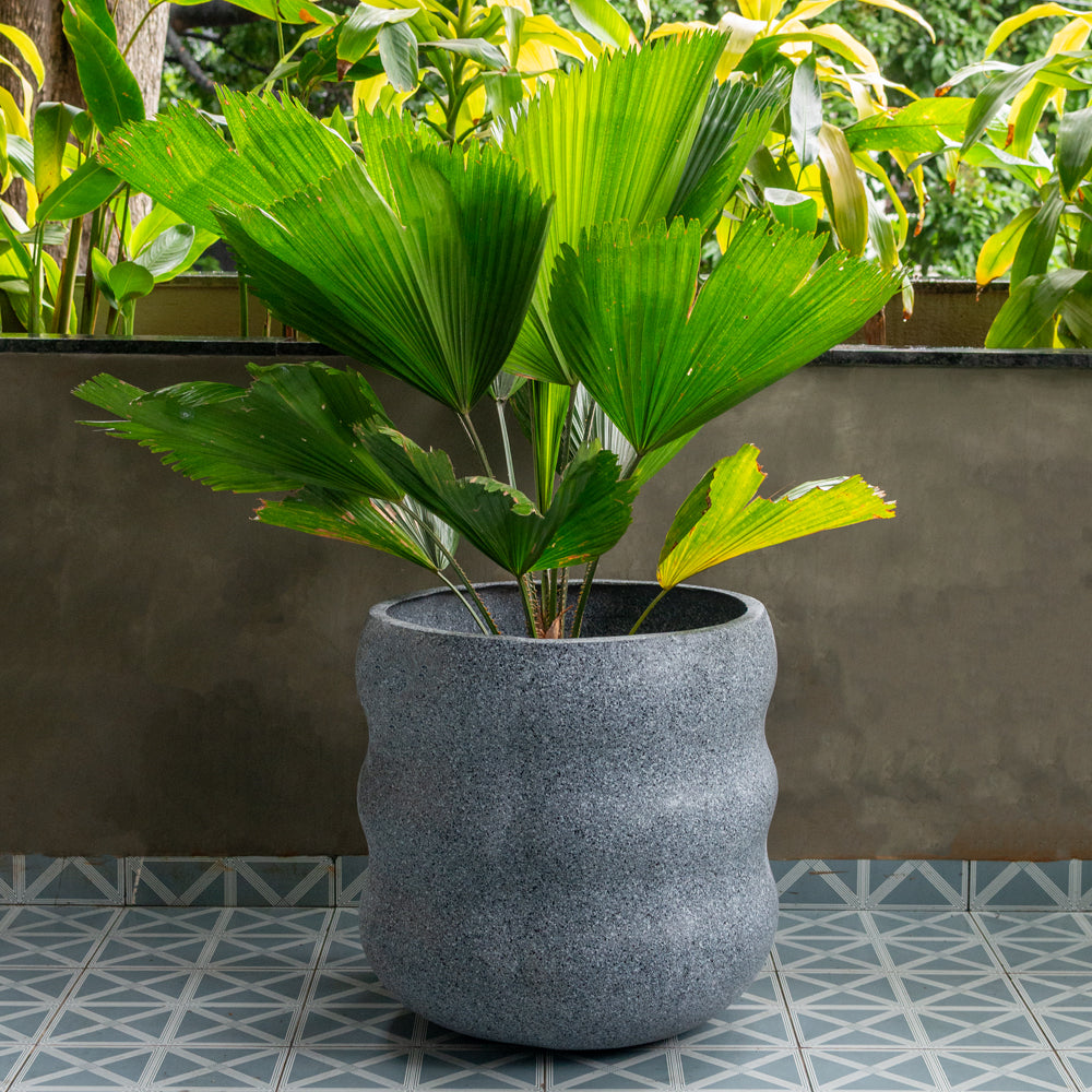 Wave Planter