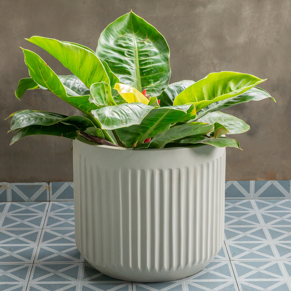Fluted Planter
