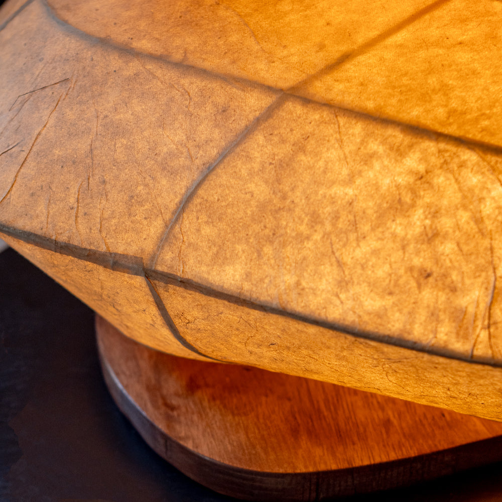 Pashaan Floor Lamp